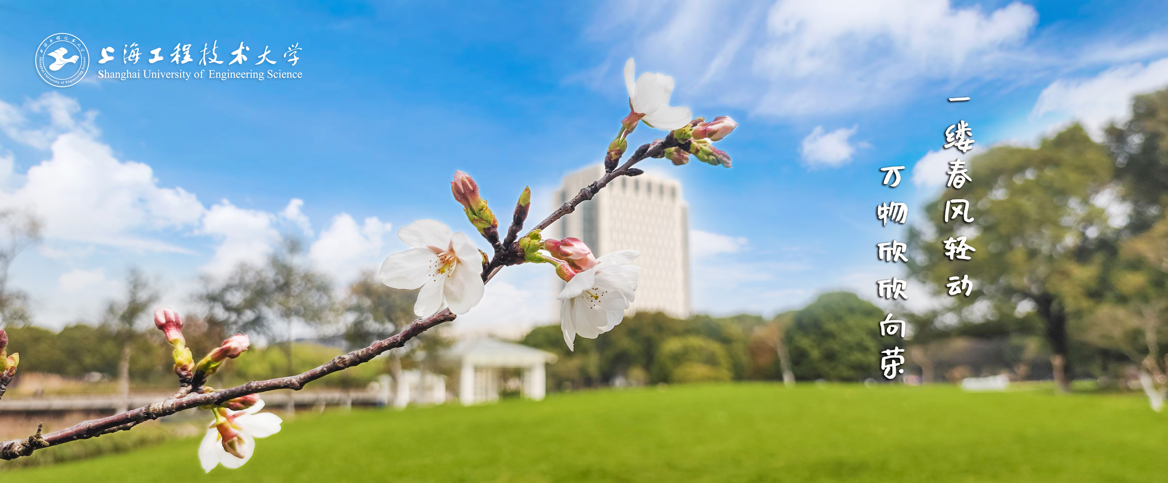 审核性评估专家进校